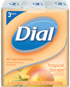 1363793433_04002287ImageDialAllDayFreshnessAntibacterialDeodorantBarSoapTropicalEscape.png