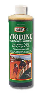 1367342567_06010115ImageViodineMedicatedShampoo.jpg