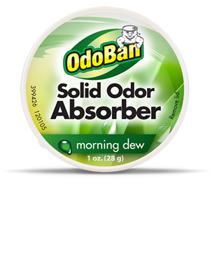 1367710733_03038023ImageOdoBanSolidOdorAbsorberMorningDewScent.jpg