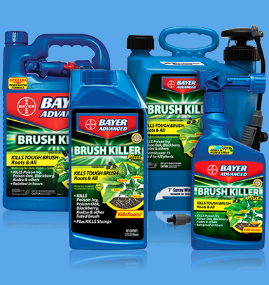 1396796230_02021037ImageBayerAdvancedBrushKillerPlusConcentrate.png