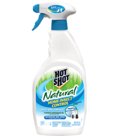 1418334461_19020317ImageHotShotNaturalHomeInsectControlPumpSpray.png