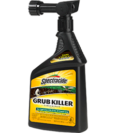 1418420352_19020340ImageSpectracideGrubKillerConcentrateReadytoSpray.png
