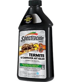 1418429779_19020350ImageSpectracideTerminateTermiteCarpenterAntKillerConcentrate.png