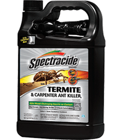 1418430337_19020351ImageSpectracideTerminateTermiteCarpenterAntKillerReadytoUse.png