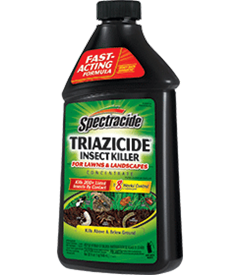 1418434653_19020356ImageSpectracideTriazicideInsectKillerforLawnsLandscapesConcentrate.png