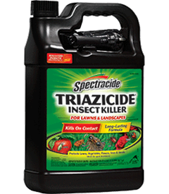 1418435041_19020357ImageSpectracideTriazicideInsectKillerforLawnsLandscapesReadytoUse.png