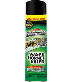 1418436173_19020359ImageSpectracideWaspHornetKillerAerosol.png