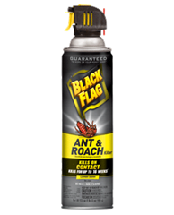 1418518214_19020375ImageBlackFlagAntRoachKillerLemonScentAerosol.png