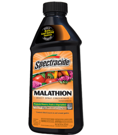 1418595929_19020392ImageSpectracideMalathionInsectSprayConcentrate.png