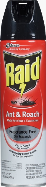 1450817893_19001597ImageRaidAntRoachKillerFragranceFreeAerosol.jpg