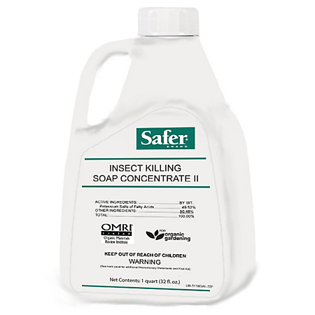 1497293453_19019028ImageSaferBrandInsectKillingSoapConcentrate.png