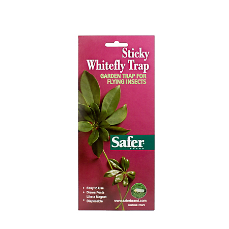 1497294700_19019030ImageSaferBrandStickyWhiteflyTrap.png