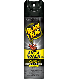 1498235969_19020401ImageBlackFlagAntRoachKillerLemonScentAerosol.png