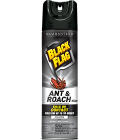 1498236514_19020403ImageBlackFlagAntRoachKillerUnscentedAerosol.png