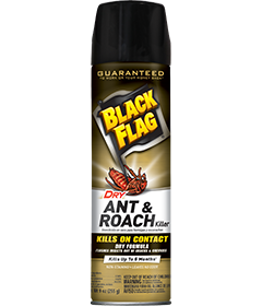 1498247337_19020405ImageBlackFlagDryAntRoachKillerAerosol.png