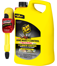 1498247929_19020406ImageBlackFlagExtremeHomeInsectControlPlusGermKillerAccushotSprayer.png