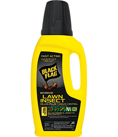 1498248691_19020408ImageBlackFlagExtremeLawnInsectKillerPlusFungusControlConcentrate.png