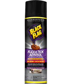 1498250641_19020413ImageBlackFlagFleaTickSprayPlusGrowthRegulatorHomeTreatment.png