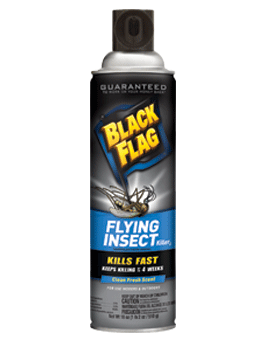 1498251725_19020415ImageBlackFlagFlyingInsectKiller3Aerosol.png