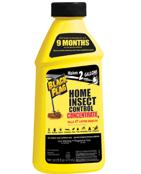 1498317425_19020417ImageBlackFlagHomeInsectControlConcentrate2.png