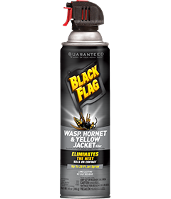 1498318207_19020419ImageBlackFlagWaspHornetYellowJacketKillerAerosol.png