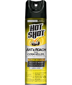 1498318844_19020421ImageHotShotAntRoachPlusGermKiller2LemonScentAerosol.png