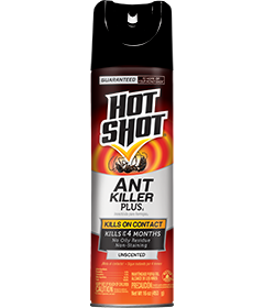 1498319286_19020423ImageHotShotAntKillerPlus4Aerosol.png