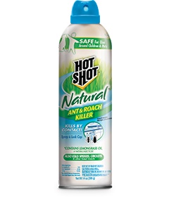 1498323173_19020431ImageHotShotHotShotNaturalAntRoachKillerAerosol.png