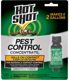 1498334820_19020440ImageHotShotPestControlConcentrate2.png