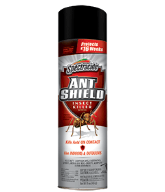 1498337082_19020447ImageSpectracideAntShieldInsectKillerAerosol.png