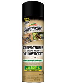 1498338121_19020450ImageSpectracideCarpenterBeeGroundNestingYellowjacketKillerFoamingAerosol.png