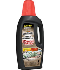1498409465_19020451ImageSpectracideGrassKillerWithExtendedControlConcentrate.png