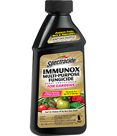 1498410406_19020453ImageSpectracideImmunoxMultiPurposeFungicideSprayConcentrateForGardens.png