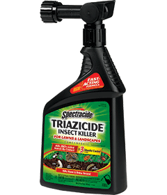 1498411449_19020455ImageSpectracideTriazicideInsectKillerForLawnsLandscapesConcentrateReadyToSpray.png