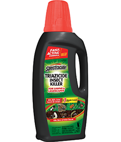 1498411623_19020456ImageSpectracideTriazicideInsectKillerForLawnsLandscapesConcentrate.png