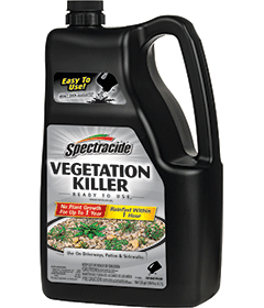1498413215_19020460ImageSpectracideVegetationKillerReadyToUse2.png