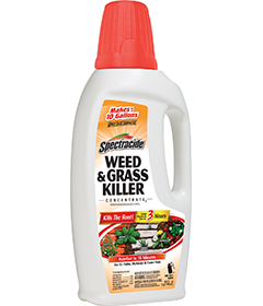 1498414106_19020462ImageSpectracideWeedGrassKillerConcentrate2.png