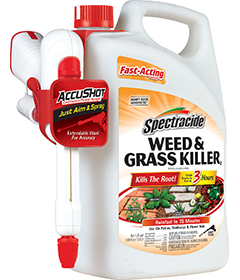 1498415356_19020467ImageSpectracideWeedGrassKiller2AccushotSprayer.png