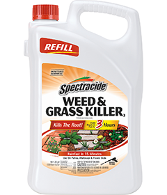 1498415783_19020469ImageSpectracideWeedGrassKiller3AccushotRefill.png