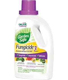 1498576352_19020517ImageGardenSafeFungicide3Concentrate.png