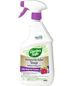 1498576710_19020518ImageGardenSafeInsecticidalSoapInsectKillerPumpSpray.png