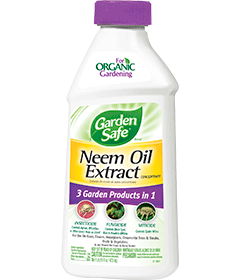 1498577182_19020520ImageGardenSafeNeemOilExtractConcentrate.png