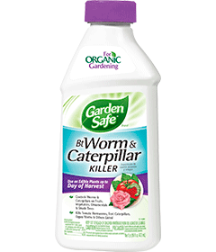1499005825_19020514ImageGardenSafeBtWormCaterpillarKillerConcentrate.png