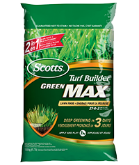 1504470127_19026256ImageScottsTurfBuilderGreenMaxLawnFood2702with5PercentIron.jpeg