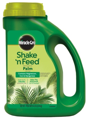 1505143236_19026358ImageMiracleGroShakeNFeedPalmPlantFood.jpg