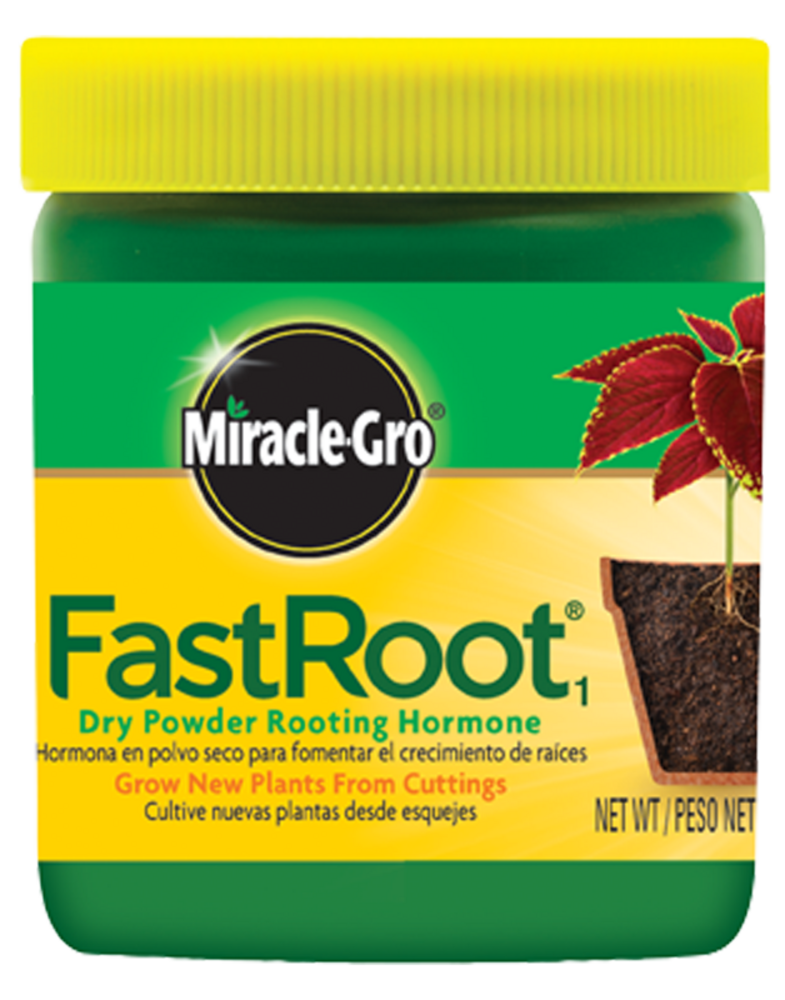 1505163751_19026364ImageMiracleGroFastRoot1DryPowderRootingHormone.png