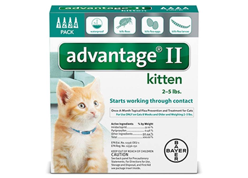 1516225325_02022018ImageAdvantageIIKitten25Lbs.jpg