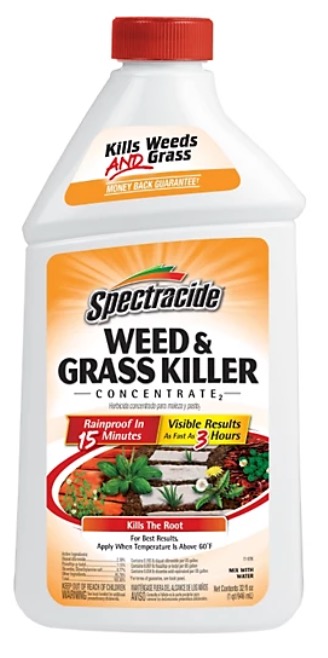 1773102128_19020564ImageSpectracideWeedGrassKillerConcentrate06042024.jpg